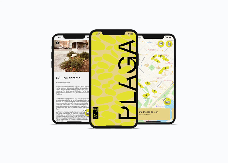 Mockup of three mobiles displaying Aliadas app screenshots