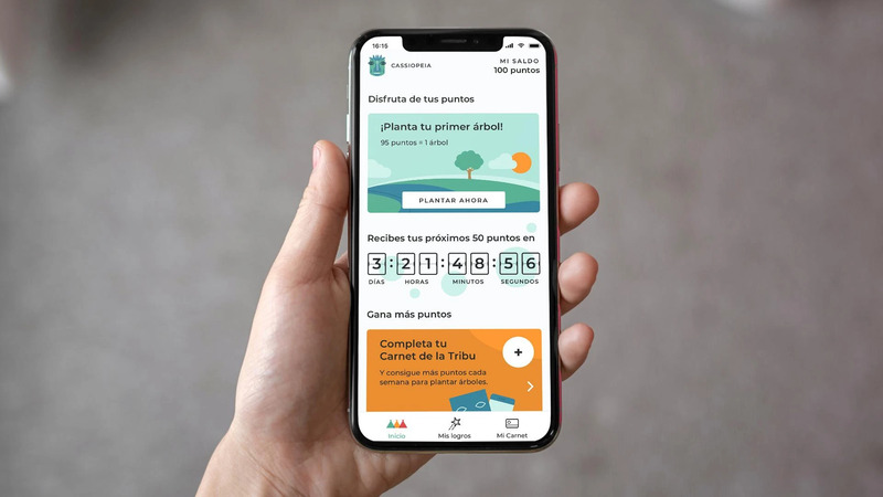 Tribaldata app user points summary screen