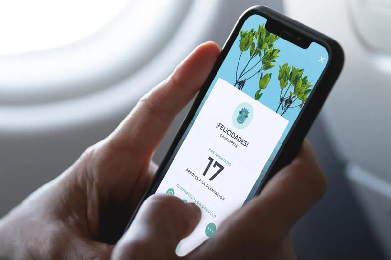 User hand interacting with the Tribaldata app
